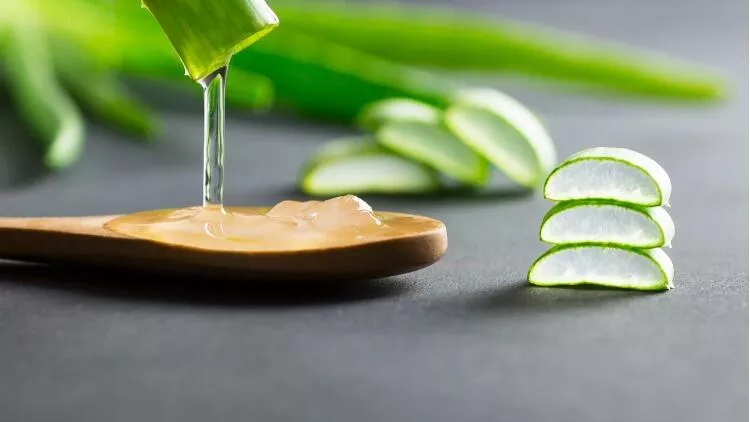aloe vera jel